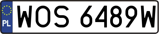 WOS6489W