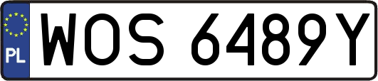 WOS6489Y