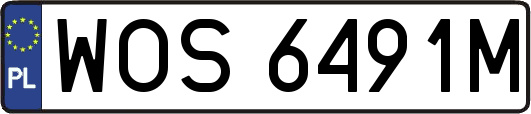 WOS6491M