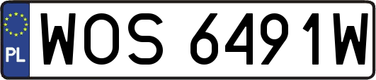 WOS6491W