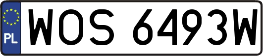 WOS6493W