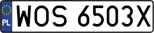 WOS6503X