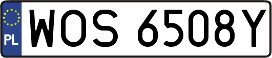 WOS6508Y
