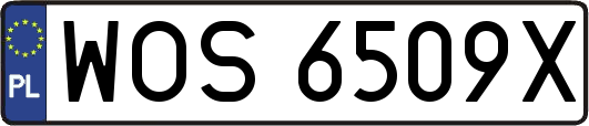 WOS6509X