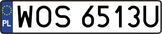 WOS6513U