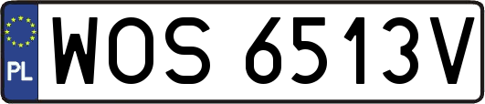 WOS6513V