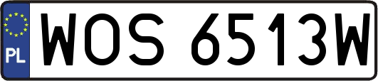 WOS6513W