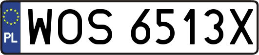 WOS6513X