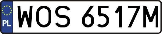 WOS6517M