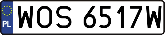 WOS6517W