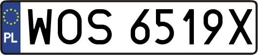 WOS6519X