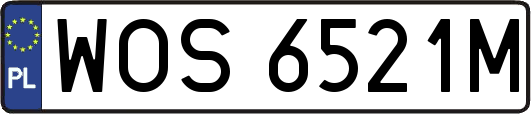 WOS6521M