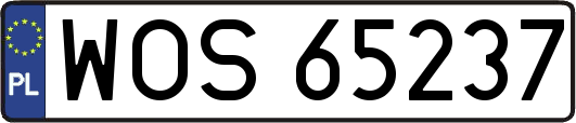 WOS65237