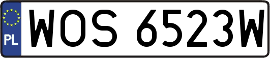 WOS6523W