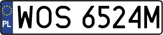 WOS6524M