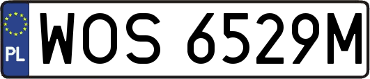 WOS6529M