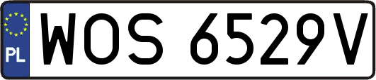 WOS6529V