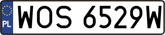 WOS6529W