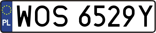WOS6529Y