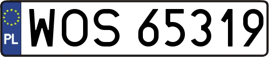 WOS65319