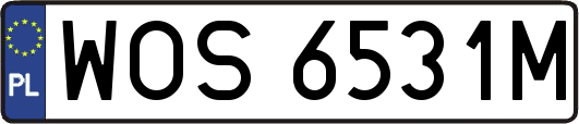 WOS6531M