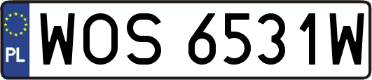 WOS6531W
