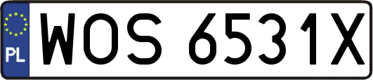 WOS6531X