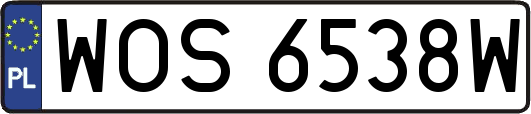WOS6538W