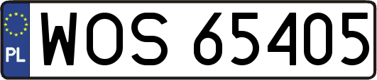 WOS65405