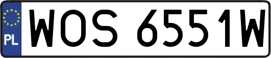 WOS6551W