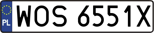WOS6551X