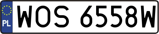 WOS6558W