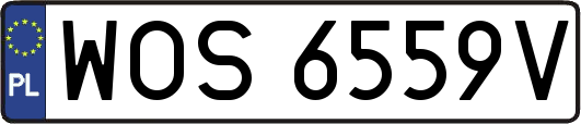 WOS6559V
