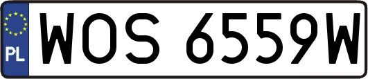 WOS6559W