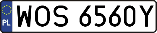WOS6560Y