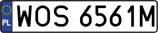 WOS6561M
