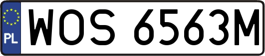 WOS6563M