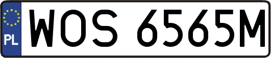 WOS6565M