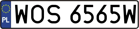 WOS6565W