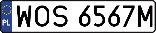 WOS6567M