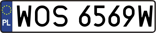 WOS6569W