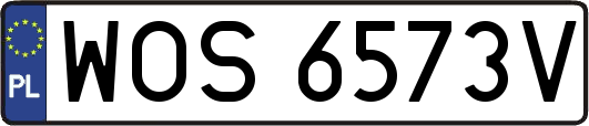 WOS6573V