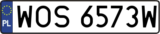 WOS6573W