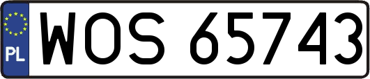 WOS65743