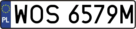 WOS6579M