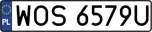 WOS6579U