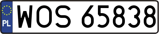 WOS65838