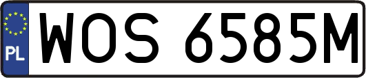 WOS6585M