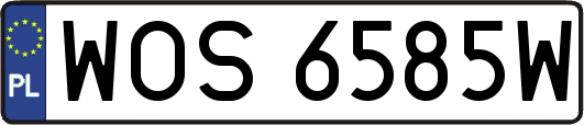 WOS6585W