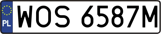 WOS6587M